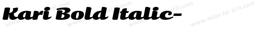 Kari Bold Italic字体转换